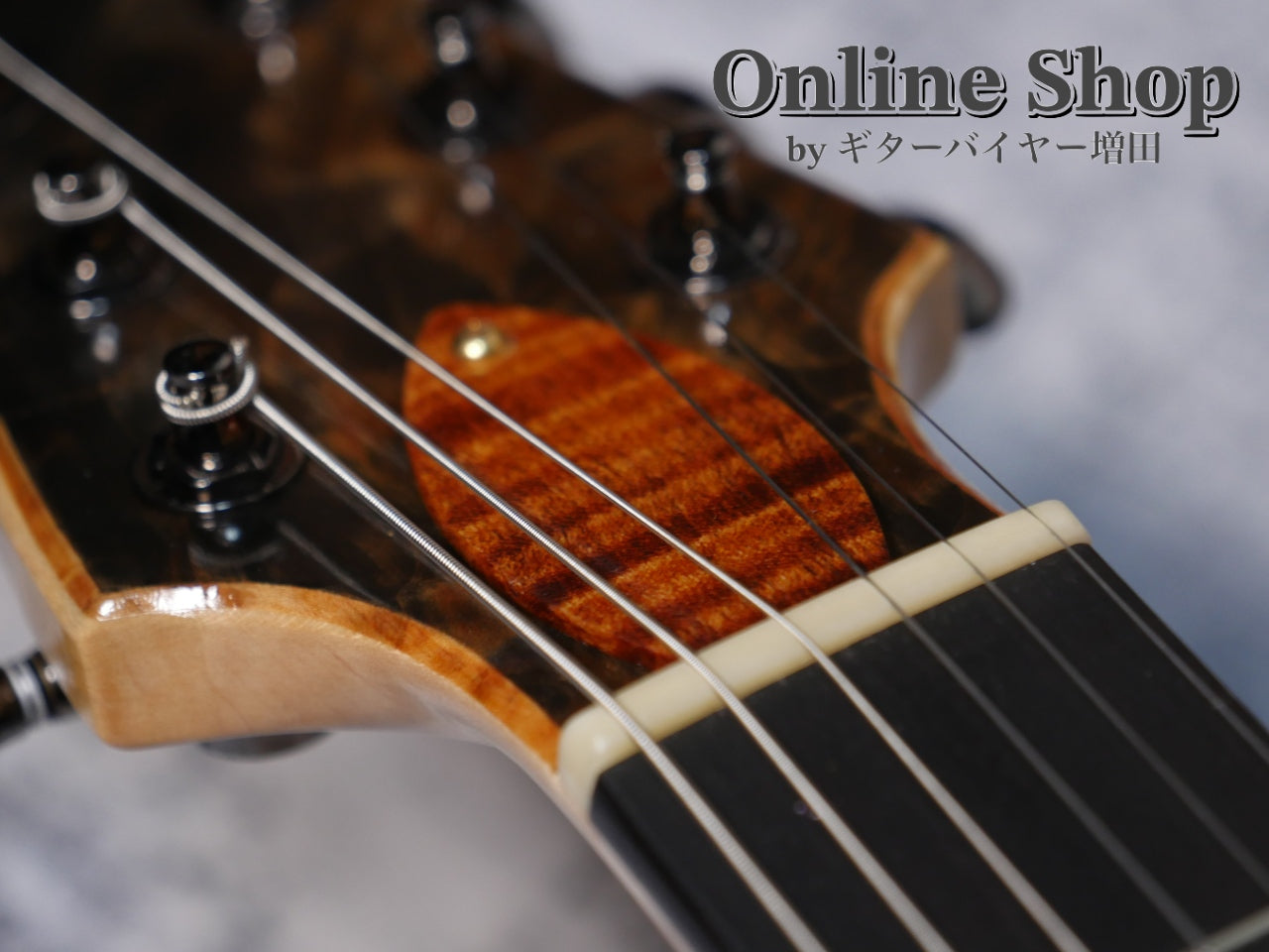 USED 2020 Nishgaki Guitars Cirrus semi-hollow Easel - Aizome