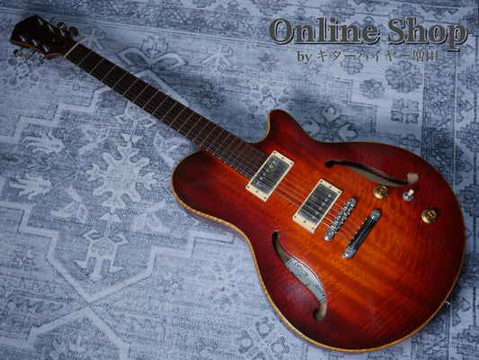 USED 2010s Style-N Nishgaki Guitars Arcus Semihollow 2PU Sunburst