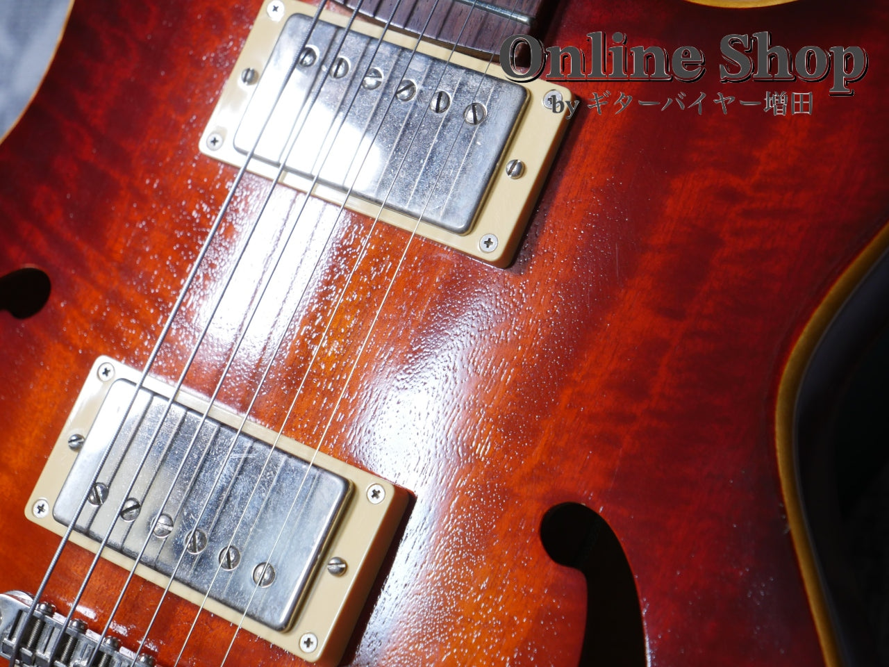 USED 2010s Style-N Nishgaki Guitars Arcus Semihollow 2PU Sunburst
