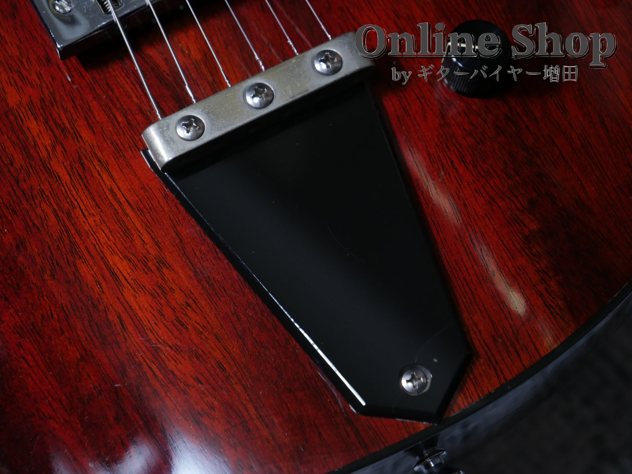 USED 1990s Rick Turner Model 1 Natural