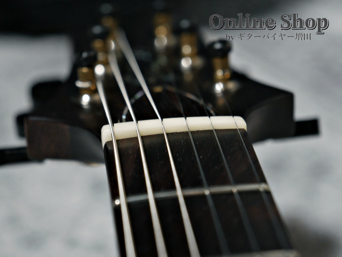 USED 2023 Paul Reed Smith Private Stock #11024 McCarty 594 Trem Aquamarine "Brazilian Rosewood Neck & Fingerboard"