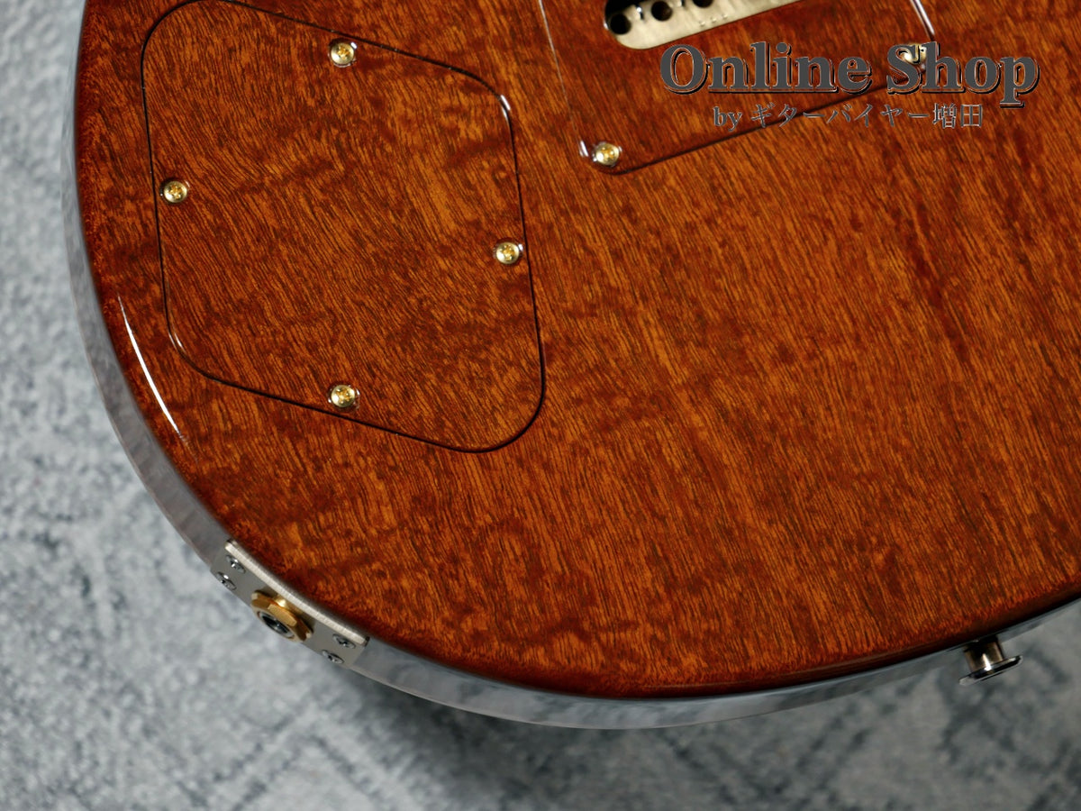 USED 2023 Paul Reed Smith Private Stock #11024 McCarty 594 Trem Aquamarine "Brazilian Rosewood Neck & Fingerboard"