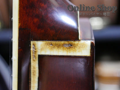 VINTAGE 1966 Gretsch #6119 Chet Atkins Tennessean