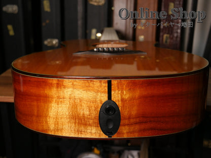 USED 2010 Taylor 514ce LTD "Koa" Fall Limited Edition 2010 Natural