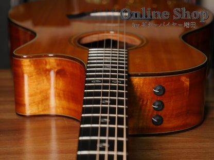 USED 2010 Taylor 514ce LTD "Koa" Fall Limited Edition 2010 Natural