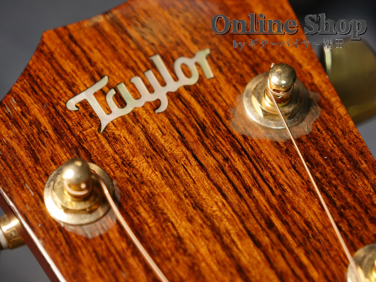 USED 2010 Taylor 514ce LTD "Koa" Fall Limited Edition 2010 Natural