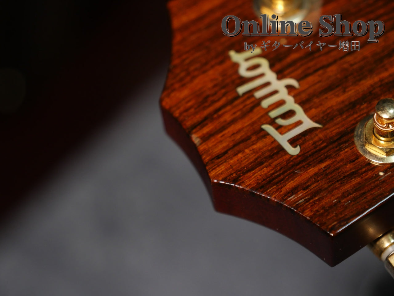 USED 2010 Taylor 514ce LTD "Koa" Fall Limited Edition 2010 Natural