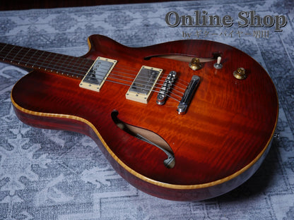 USED 2010s Style-N Nishgaki Guitars Arcus Semihollow 2PU Sunburst