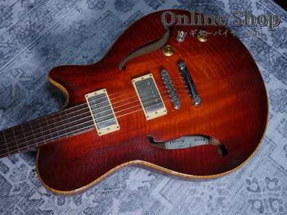 USED 2010s Style-N Nishgaki Guitars Arcus Semihollow 2PU Sunburst
