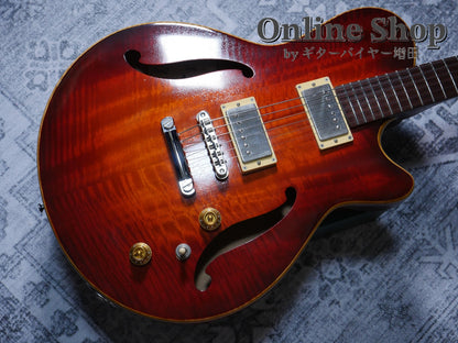 USED 2010s Style-N Nishgaki Guitars Arcus Semihollow 2PU Sunburst