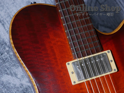 USED 2010s Style-N Nishgaki Guitars Arcus Semihollow 2PU Sunburst