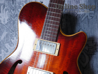 USED 2010s Style-N Nishgaki Guitars Arcus Semihollow 2PU Sunburst