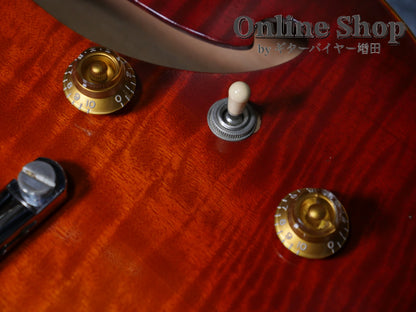 USED 2010s Style-N Nishgaki Guitars Arcus Semihollow 2PU Sunburst