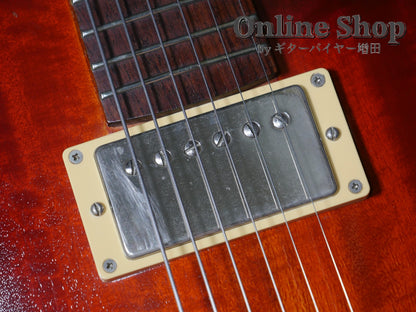 USED 2010s Style-N Nishgaki Guitars Arcus Semihollow 2PU Sunburst