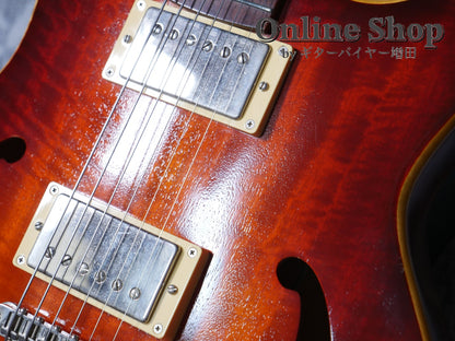 USED 2010s Style-N Nishgaki Guitars Arcus Semihollow 2PU Sunburst