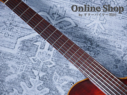USED 2010s Style-N Nishgaki Guitars Arcus Semihollow 2PU Sunburst