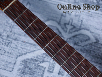 USED 2010s Style-N Nishgaki Guitars Arcus Semihollow 2PU Sunburst