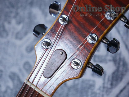 USED 2010s Style-N Nishgaki Guitars Arcus Semihollow 2PU Sunburst