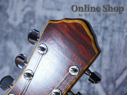 USED 2010s Style-N Nishgaki Guitars Arcus Semihollow 2PU Sunburst
