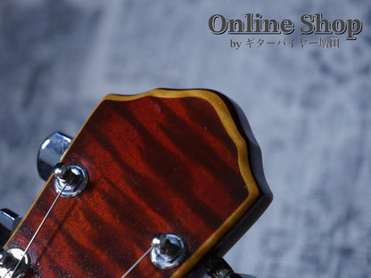 USED 2010s Style-N Nishgaki Guitars Arcus Semihollow 2PU Sunburst