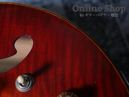 USED 2010s Style-N Nishgaki Guitars Arcus Semihollow 2PU Sunburst