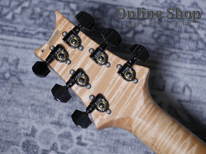 USED 2021 Paul Reed Smith Wood Library Artist Special Semi-Hollow "Brian's Guitars 10th Anniversary Limited" Iceberg Fade