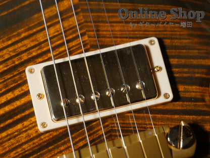 USED 2001 Paul Reed Smith Private Stock #236 McCarty Tiger Eye "Brazilian Rosewood"