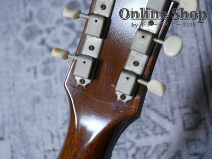 VINTAGE 1955 Gibson Les Paul Jr. Sunburst