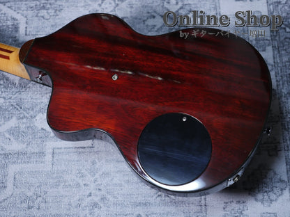 USED 1990s Rick Turner Model 1 Natural
