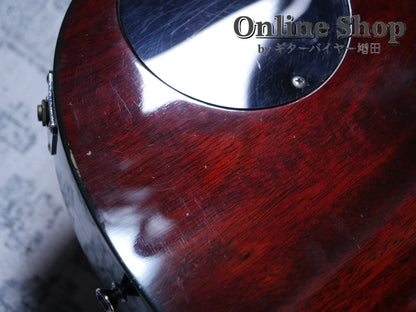USED 1990s Rick Turner Model 1 Natural