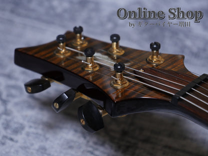 USED 2004 Paul Reed Smith "Private Stock #701" Custom 24 Tiger Eye "Brazilian Rosewood Fingerboard"