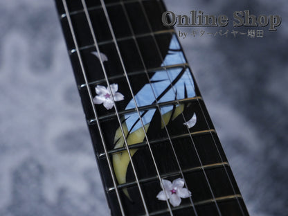 USED 2025 momose MC-HYUGAZAKURA SP’25/E Deep Blue-Vertical Gradation