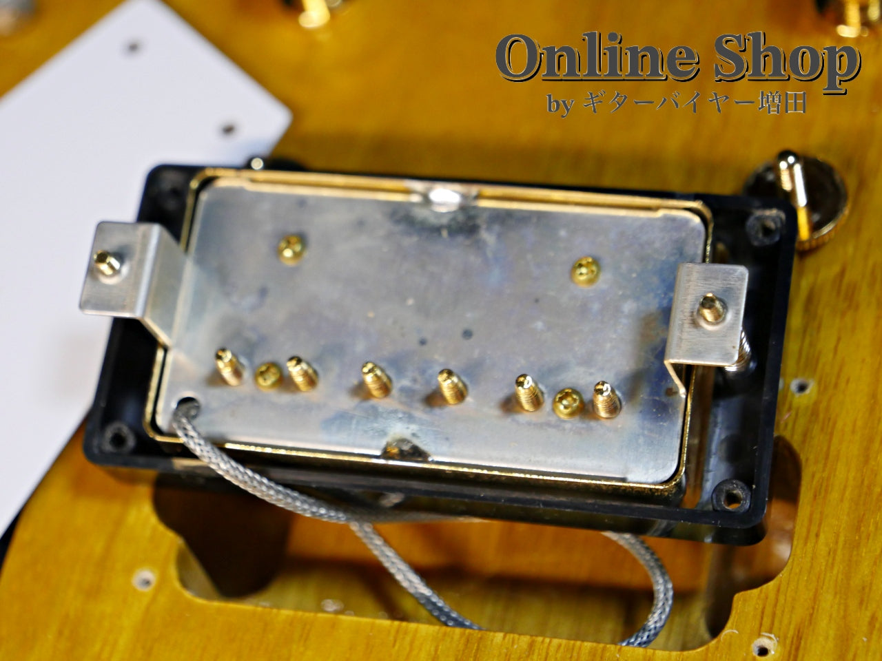 USED 2015 momose MEX・K-STD/NJ "Korina" Natural