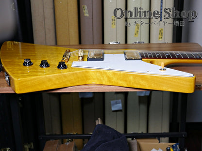 USED 2015 momose MEX・K-STD/NJ "Korina" Natural