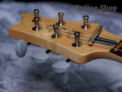 USED 2023 Paul Reed Smith Limited Edition "Dead Spec" Silver Sky Moc Sand Satin