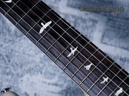 USED 2023 Paul Reed Smith Limited Edition "Dead Spec" Silver Sky Moc Sand Satin