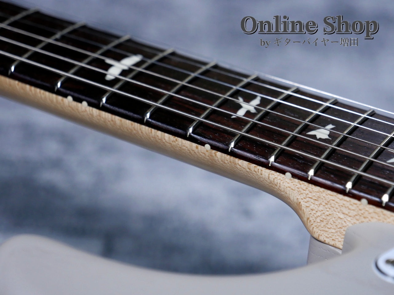 USED 2023 Paul Reed Smith Limited Edition "Dead Spec" Silver Sky Moc Sand Satin