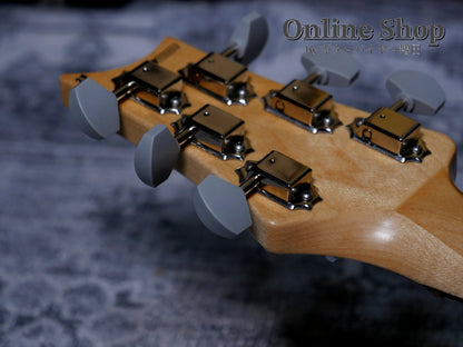 USED 2023 Paul Reed Smith Limited Edition "Dead Spec" Silver Sky Moc Sand Satin