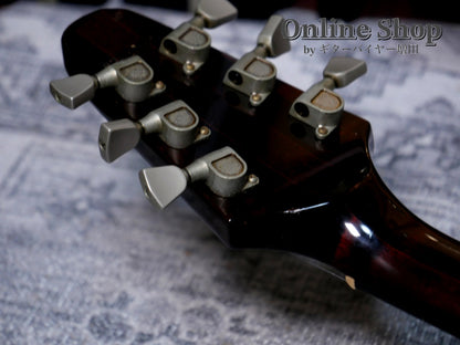 VINTAGE/USED 1981 Gibson "The V" CMT Cherry Sunburst