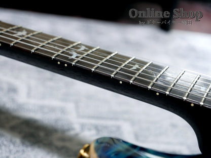 USED 2015 Paul Reed Smith Private Stock #5733 Custom 24 "Brazilian Rosewood Fingerboard" Aquamarine
