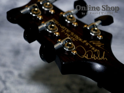 USED 2015 Paul Reed Smith Private Stock #5733 Custom 24 "Brazilian Rosewood Fingerboard" Aquamarine