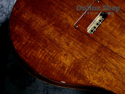 USED 2015 Paul Reed Smith Private Stock #5733 Custom 24 "Brazilian Rosewood Fingerboard" Aquamarine
