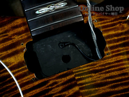 USED 2010 Paul Reed Smith Private Stock #2579 "Violin" McCarty Black Gold