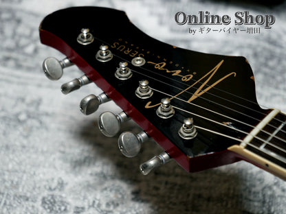 USED 2025 Novo Guitars "Dealer Limited" Chambered Serus P2 Light Distress Faded Tea Burst with Faded Cherry Back