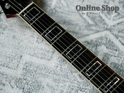 USED 2025 Novo Guitars "Dealer Limited" Chambered Serus P2 Light Distress Faded Tea Burst with Faded Cherry Back