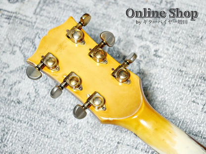VINTAGE 1974 Gibson Les Paul Custom "TWENTIES ANNIVERSARY" Polaris White