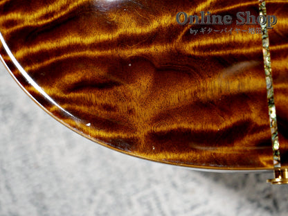 USED 2009 Paul Reed Smith Private Stock #2390 Santana II "Pernambuco Neck & Brazilian Rosewood FB" Burnt Gold