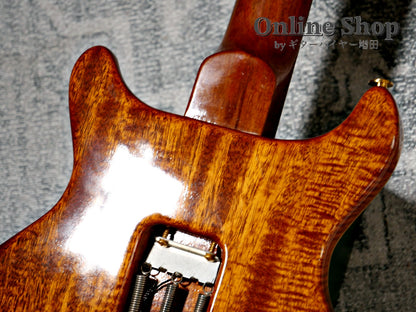 USED 2009 Paul Reed Smith Private Stock #2390 Santana II "Pernambuco Neck & Brazilian Rosewood FB" Burnt Gold