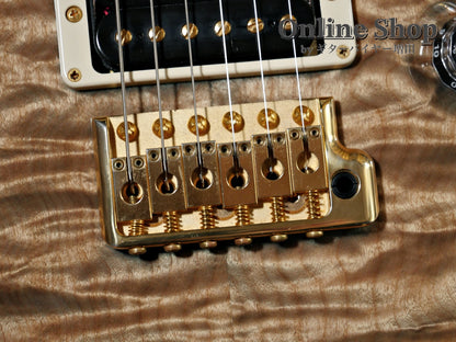 USED 2015 Paul Reed Smith Private Stock #5766 Custom 24 "Brazilian Rosewood Fingerboard" Turquoise Smoked Burst