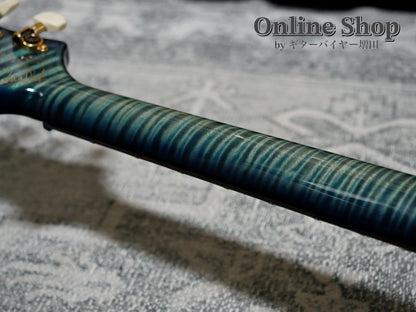USED 2015 Paul Reed Smith Private Stock #5766 Custom 24 "Brazilian Rosewood Fingerboard" Turquoise Smoked Burst